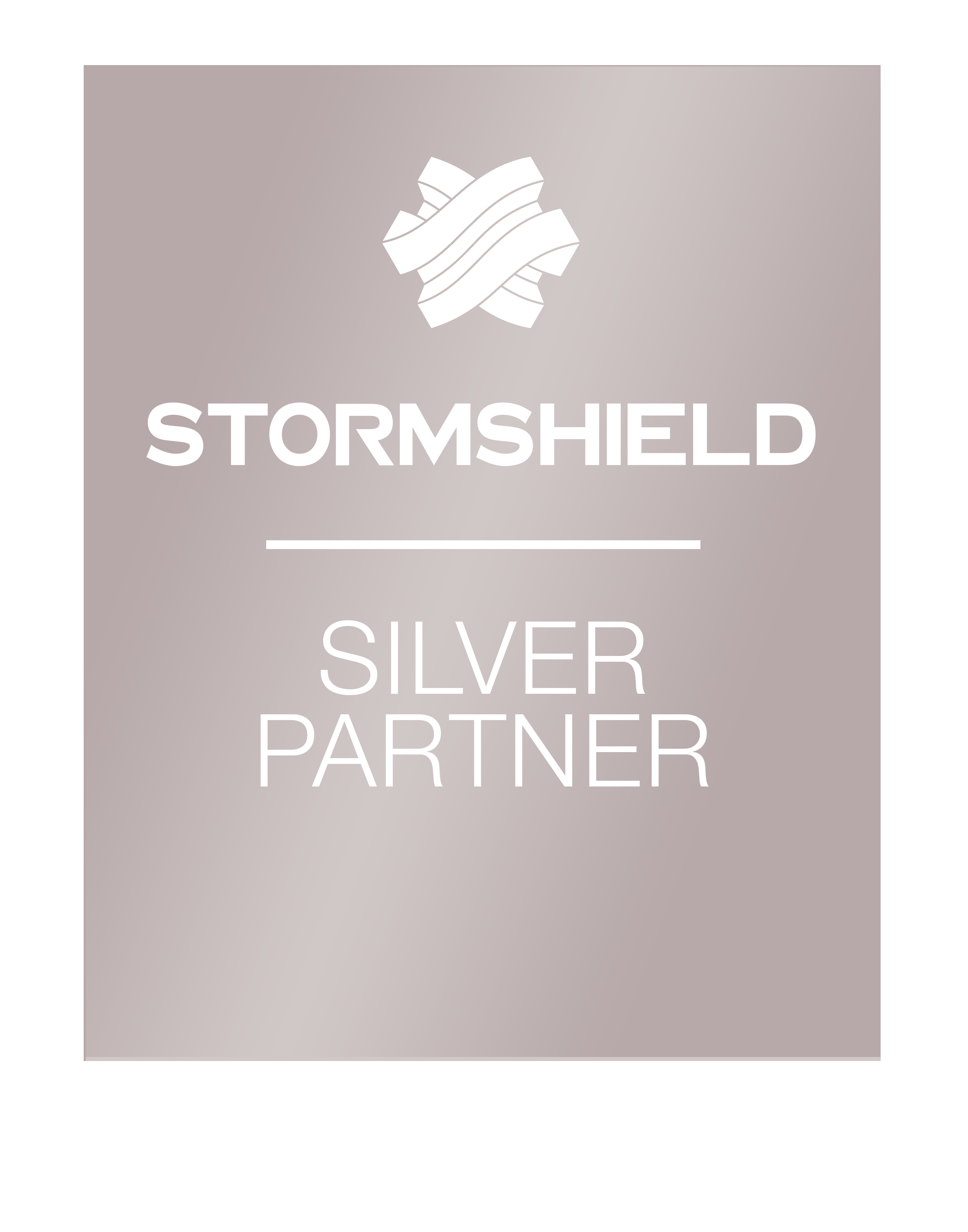 Logo-Silver (Conflicted copy from LILM0103 on 2021-08-18).png